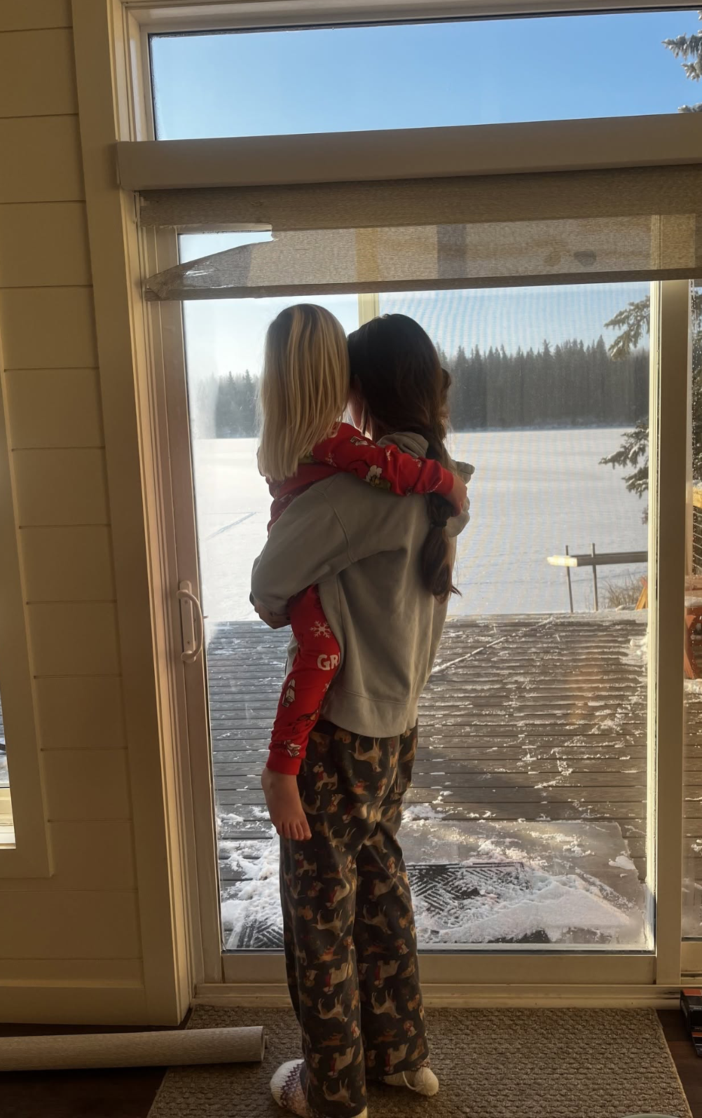 Winter at the lake house
