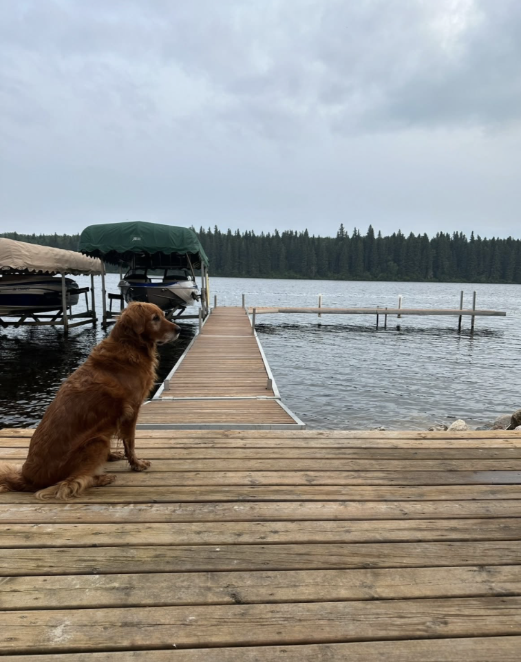 Emmy at the lake house dock